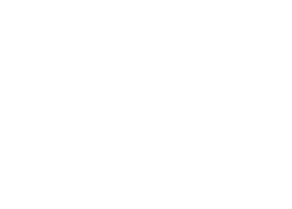 Hermies, the hermit crab logo of secure scuttlebutt, scuttling along